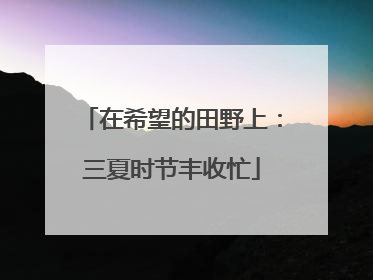 在希望的田野上：三夏时节丰收忙