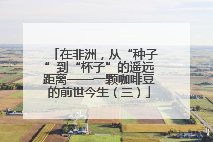在非洲，从“种子”到“杯子”的遥远距离——一颗咖啡豆的前世今生（三）