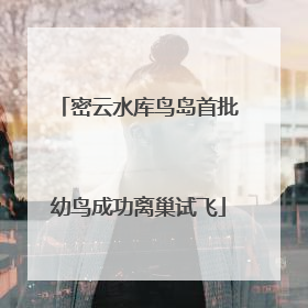 密云水库鸟岛首批幼鸟成功离巢试飞