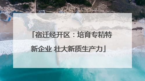 宿迁经开区：培育专精特新企业 壮大新质生产力