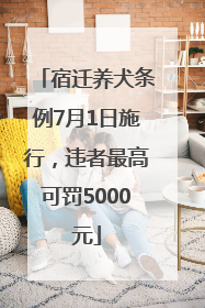 宿迁养犬条例7月1日施行，违者最高可罚5000元