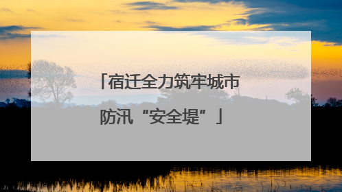 宿迁全力筑牢城市防汛“安全堤”
