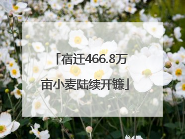 宿迁466.8万亩小麦陆续开镰