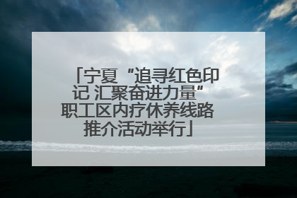宁夏“追寻红色印记 汇聚奋进力量”职工区内疗休养线路推介活动举行