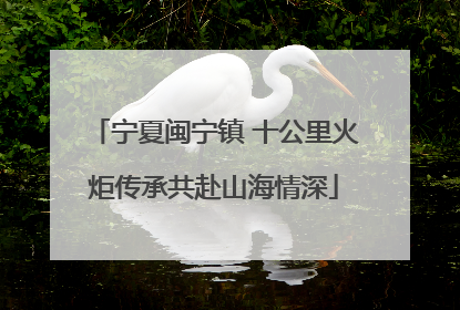 宁夏闽宁镇 十公里火炬传承共赴山海情深
