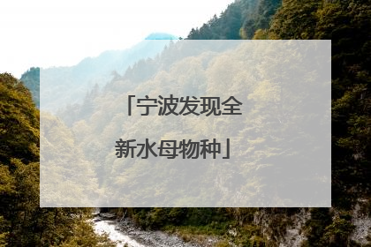 宁波发现全新水母物种