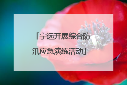 宁远开展综合防汛应急演练活动