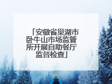 安徽省巢湖市卧牛山市场监管所开展自助餐厅监督检查