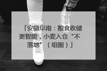 安徽阜南：粮食收储更智能，小麦入仓“不落地”（组图）