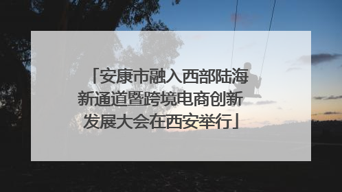 安康市融入西部陆海新通道暨跨境电商创新发展大会在西安举行
