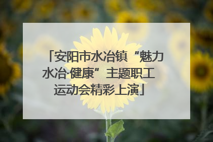 安阳市水冶镇“魅力水冶·健康”主题职工运动会精彩上演