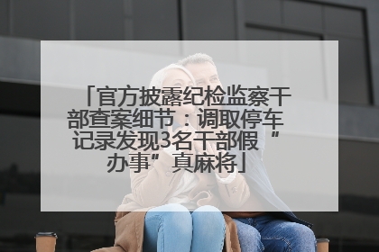 官方披露纪检监察干部查案细节：调取停车记录发现3名干部假“办事”真麻将