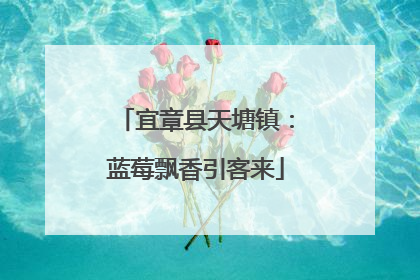 宜章县天塘镇：蓝莓飘香引客来