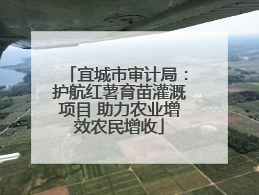 宜城市审计局：护航红薯育苗灌溉项目 助力农业增效农民增收