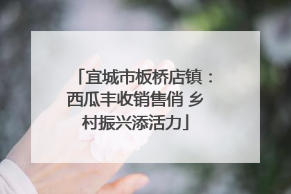 宜城市板桥店镇：西瓜丰收销售俏 乡村振兴添活力
