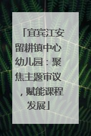 宜宾江安留耕镇中心幼儿园：聚焦主题审议，赋能课程发展
