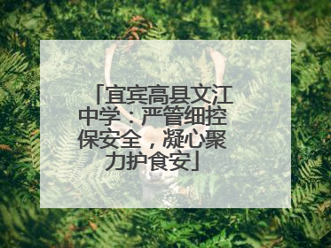 宜宾高县文江中学：严管细控保安全，凝心聚力护食安