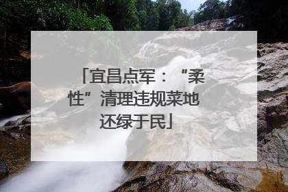 宜昌点军：“柔性”清理违规菜地 还绿于民