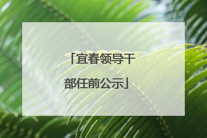 宜春领导干部任前公示