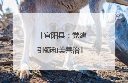 宜阳县：党建引领和美善治