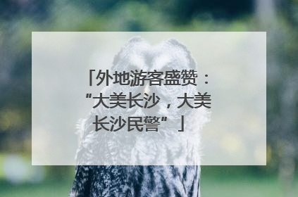 外地游客盛赞：“大美长沙，大美长沙民警”