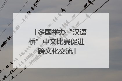 多国举办“汉语桥”中文比赛促进跨文化交流