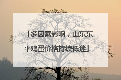 多因素影响，山东东平鸡蛋价格持续低迷