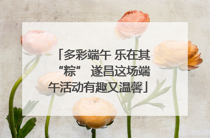 多彩端午 乐在其“粽” 遂昌这场端午活动有趣又温馨