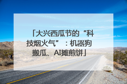 大兴西瓜节的“科技烟火气”：机器狗搬瓜、AI摊煎饼