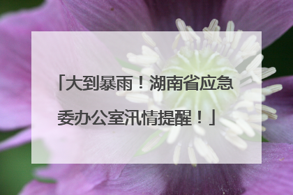 大到暴雨！湖南省应急委办公室汛情提醒！
