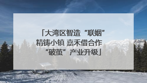 大湾区智造“联姻”精铸小镇 嘉禾借合作“破茧”产业升级
