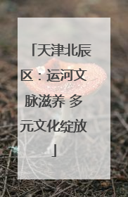 天津北辰区：运河文脉滋养 多元文化绽放