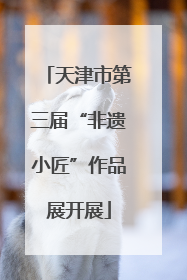 天津市第三届“非遗小匠”作品展开展