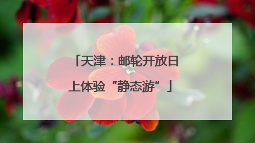 天津：邮轮开放日上体验“静态游”
