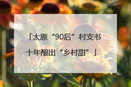 太原“90后”村支书十年酿出“乡村甜”