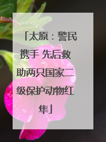 太原：警民携手 先后救助两只国家二级保护动物红隼