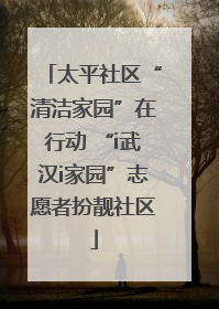 太平社区“清洁家园”在行动 “i武汉i家园”志愿者扮靓社区