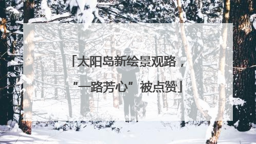 太阳岛新绘景观路，“一路芳心”被点赞