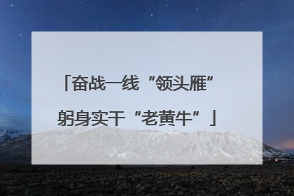奋战一线“领头雁” 躬身实干“老黄牛”