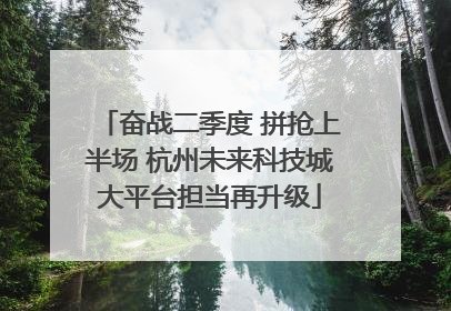 奋战二季度 拼抢上半场 杭州未来科技城大平台担当再升级
