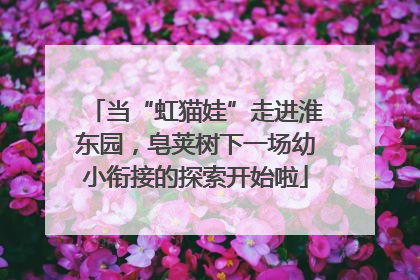 当“虹猫娃”走进淮东园，皂荚树下一场幼小衔接的探索开始啦