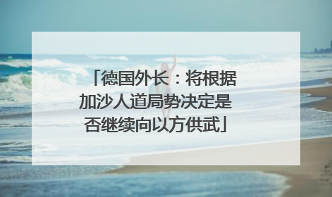 德国外长：将根据加沙人道局势决定是否继续向以方供武