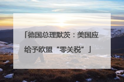 德国总理默茨：美国应给予欧盟“零关税”