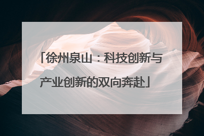 徐州泉山：科技创新与产业创新的双向奔赴