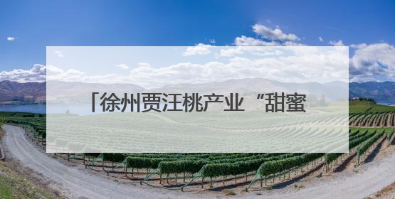 徐州贾汪桃产业“甜蜜”升级 俏销高端市场