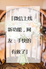微信上线新功能，网友：手快的有救了