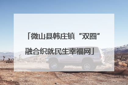 微山县韩庄镇“双圈”融合织就民生幸福网