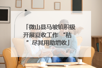 微山县马坡镇积极开展夏收工作 “秸”尽其用助增收