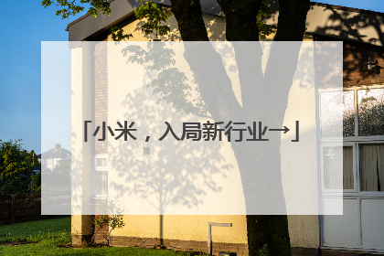 小米，入局新行业→