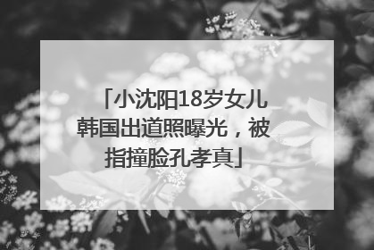 小沈阳18岁女儿韩国出道照曝光，被指撞脸孔孝真